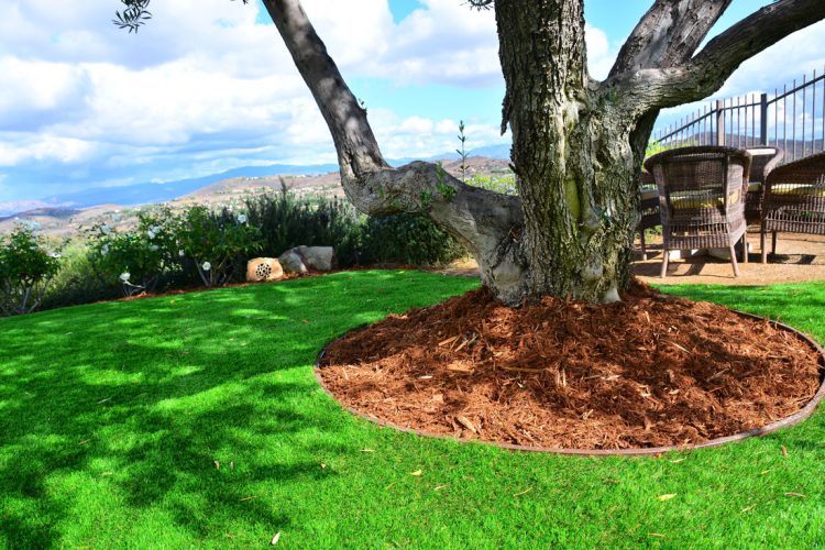 Artificial Grass Border Creates Beautiful Tree Wells