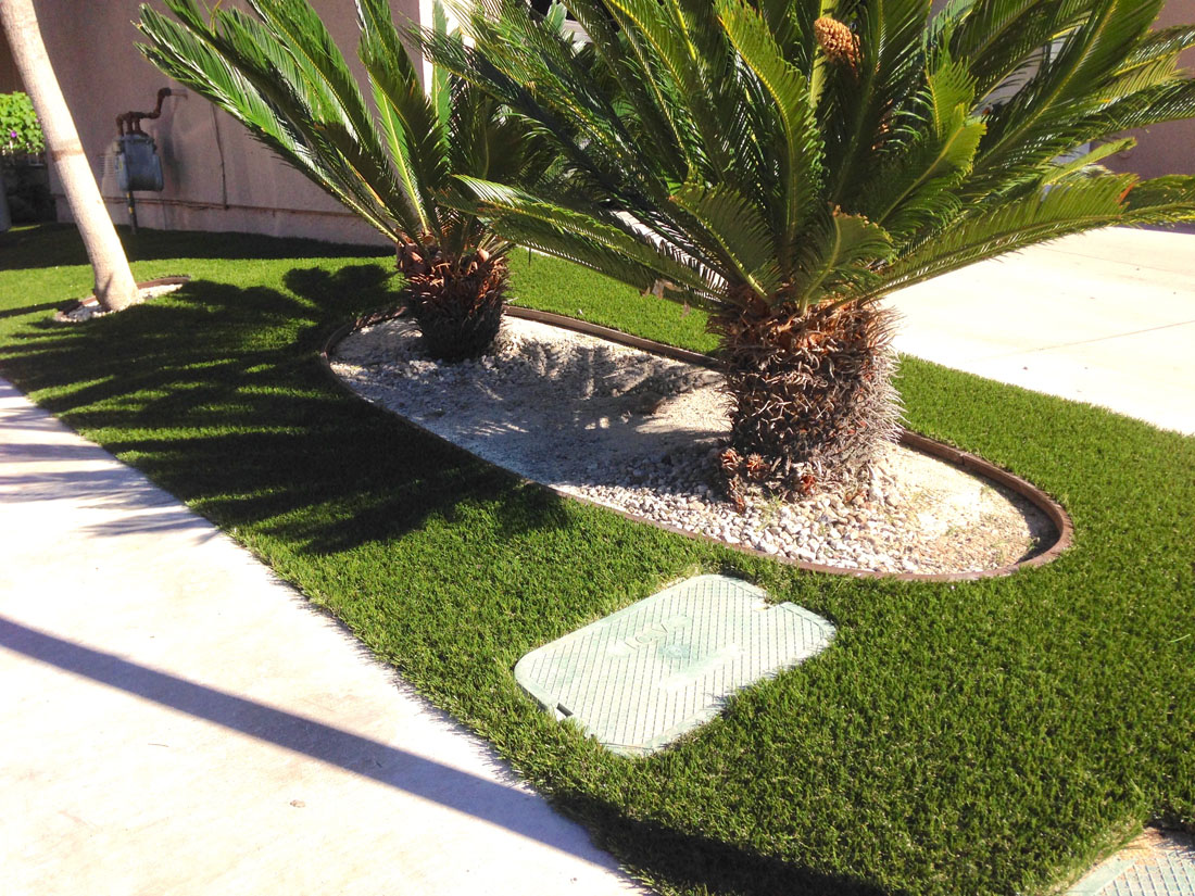 Wonder Edge brown artifical grass border outlining the tree well of a palm tree